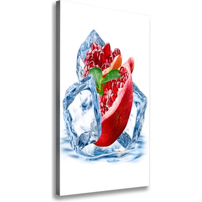 Vertikálny foto obraz canvas Granátové jablko a ľad 50x100 cm