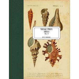 Vintage Prints: Shells: Vol. 9 | E. Lawrence (ISBN: 9781727321524)