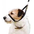 Canny Collar obojek výcvikový