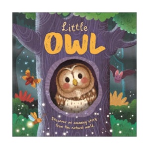 Nature Stories: Little Owl-Discover an Amazing Story from the Natural World | Rose Harkness, Gisela Bohórquez (ISBN: 9781837717378)