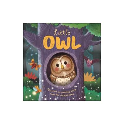 Nature Stories: Little Owl-Discover an Amazing Story from the Natural World | Rose Harkness, Gisela Bohórquez