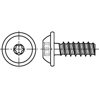 Killich šroub do plastu 6.0x20 F ZINEK půlkulatá hlava s límcem, TORX 25 Eco-syn, tupý, PLASFAST 30 [1 ks] – Hledejceny.cz