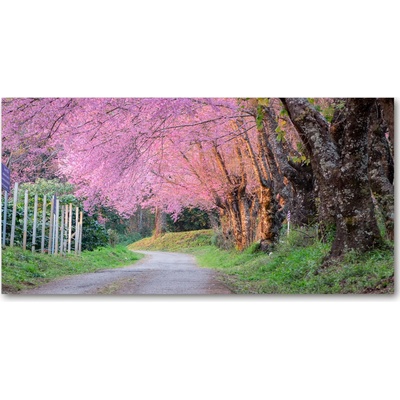 Fotoobraz na skle kvety višne 100x50 cm