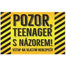 Pozor, teenager s názorem! - ceduľa 30cm x 20cm Plechová tabuľa