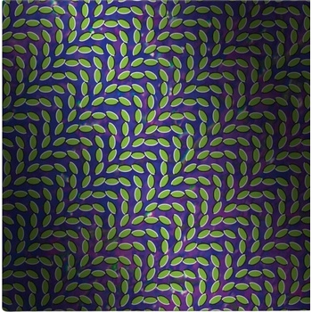 Animal Collective - Merriweather Post Pavilli (Anniversary Edition) (Reissue) (Gatefodl Sleeve) (Blush/Translucent Green Coloured) (2 LP) (0887828021635)