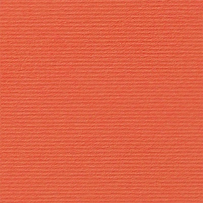 Fabriano Картон Elle Erre, 70 x 100 cm, 220 g/m2, № 108, пор (1535180508)