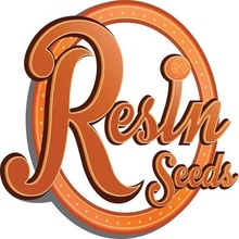 Resin Seeds Dieseltonic semena neobsahují THC 5 ks