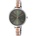 Radiant RA362206