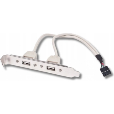 Gembird vývod 2x USB z MB na záslepku skrine, kábel 25cm, bulk CCUSBRECEPTACLE