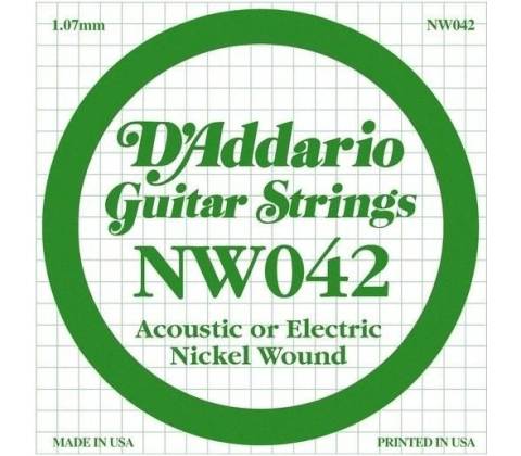 D'Addario NW 042