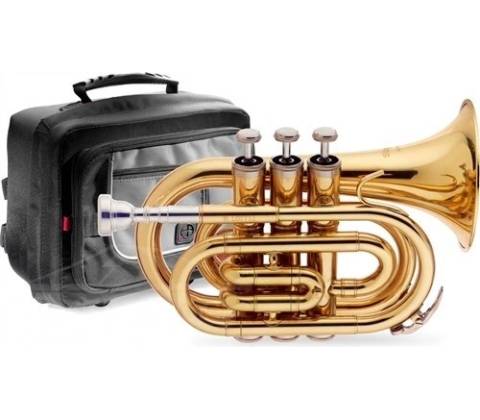 Stagg WS TR245S