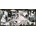 EUROGRAPHICS - Puzzle Picasso: Guernica panorama - 1 000 piese