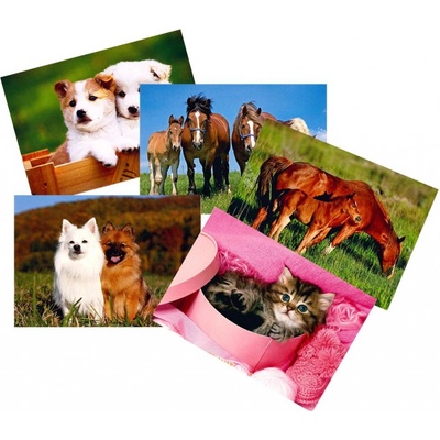 Mezuza Pohlednice S-384 Zvířátka mix ,balení 50 ks 563805