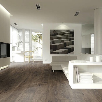 Ламиниран паркет 12 mm MAMMUT D 3076 ER V4 - Everest Oak (D 3076)