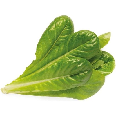 Click and Grow římský salát, kapsle se semínky a substrátem 9 ks