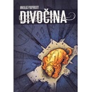 Divočina