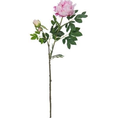 Pelargonie růžová deluxe, 100 cm