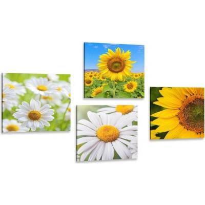 Set obrazů nádherné květiny na louce - 4x 40x40