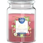 BISPOL Ароматна свещ Bispol Aura - Вкусни плодове, 500 g (/snd99t-386)