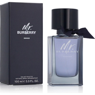 Burberry Mr. Burberry Indigo toaletná voda pánska 100 ml