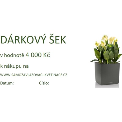 Lechuza Dárkový šek 4 000Kč