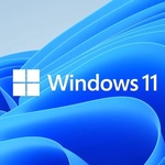 Microsoft Операционна система Microsoft Windows 11 Pro, 64-bit, DVD, OEM, English (Windows 11 Pro 64Bit DVD EN)