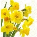 PAW servítky Yellow daffodils 33x33cm