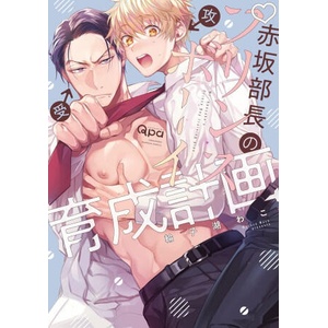 Mr. Akasaka's Prince Boy Training Plan (ISBN: 9781634425056)