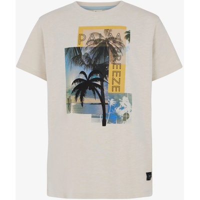 Protest Тениска за момчета PRTCATCH JR Protest | Bezhov | Момчешки | 128