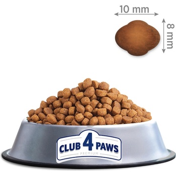CLUB 4 PAWS Premium Indoor 4 in 1 100 g