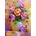 Enjoy - Puzzle Bouquet of Roses 1000 enjoy - 1 000 piese
