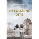 Vytoužené dítě