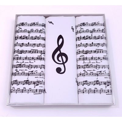 Etex pánské kapesníky Noty M59