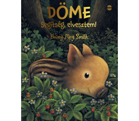 Döme - Segítség, elvesztem!