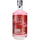 Rammstein Pink Gin Version 2 38% 0.7 L (čistá fľaša)