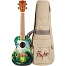 Flight AUC-33 Jungle