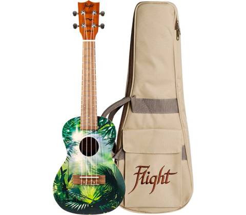 Flight AUC-33 Jungle