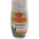 BC Bione Cosmetics šampon na mastné vlasy Cannabis 260 ml