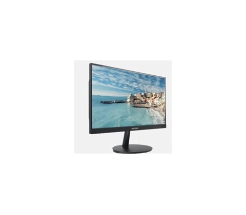 Hikvision DS-D5022FN-C