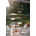 Sompex Безжична led лампа Sompex Flyer (78190)