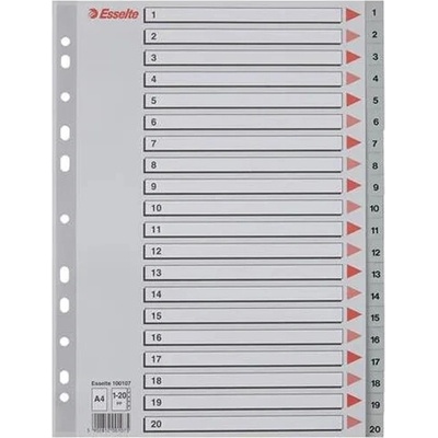 ESSELTE Register, plastový, A4, 1-20, ESSELTE, sivý