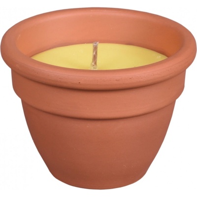 Nohel Garden CITRONELLA FLOWER 130 g