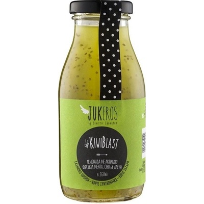 Domácí limonáda s kiwi s mátou a chia semínky bez cukru 250 ml