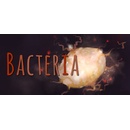 Bacteria