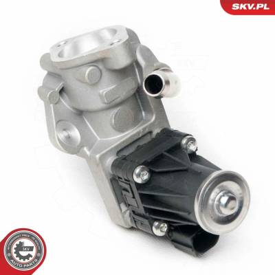 AGR-Ventil ESEN SKV 14SKV100