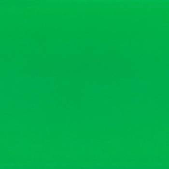 Fabriano Картон Elle Erre, 50 x 70 cm, 220 g/m2, № 111, зеле (1535180416)