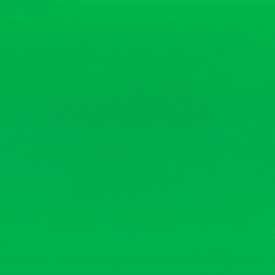 Fabriano Картон Elle Erre, 50 x 70 cm, 220 g/m2, № 111, зеле (1535180416)