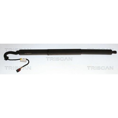 Pneumatická pružina kufor/úložný priestor TRISCAN 8710 43320