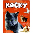 Kočky