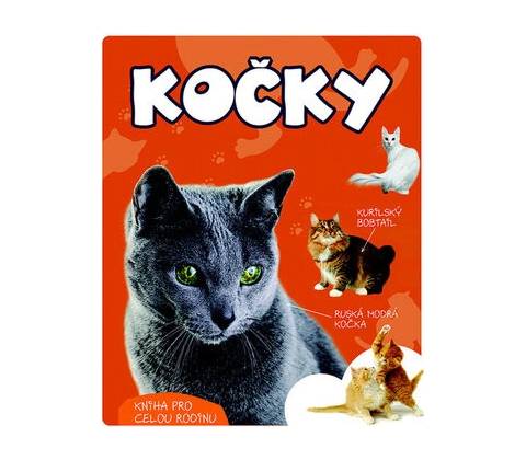 Kočky
